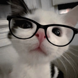 Остапчук Иван